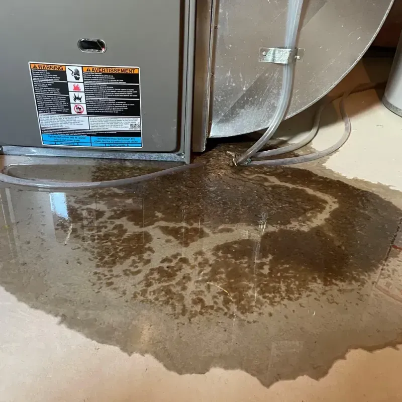 Appliance Leak Cleanup in Sturtevant, WI